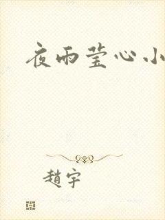 夜雨莹心小说