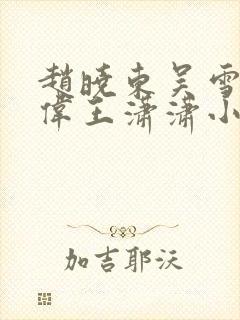 赵晓东吴雪晴郑伟王潇潇小说名字