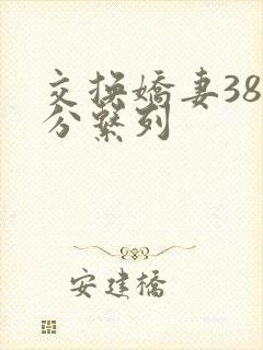 交换娇妻38部分系列