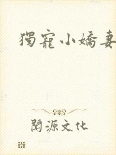独宠小娇妻