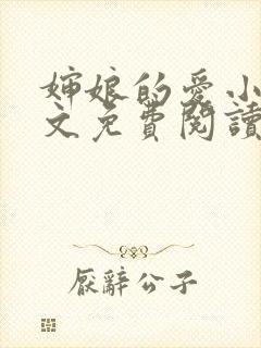 婶娘的爱小说全文免费阅读