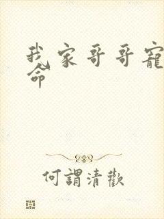 我家哥哥宠妹如命