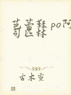 芭蕾鞋 po阿司匹林