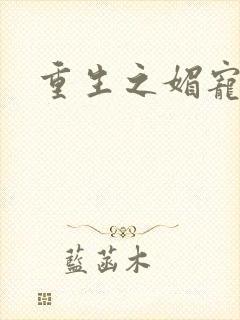 重生之媚宠系统