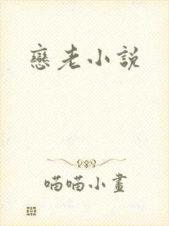 恋老小说