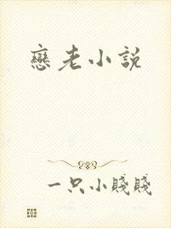 恋老小说