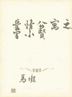 爱情公寓之极品曾小贤