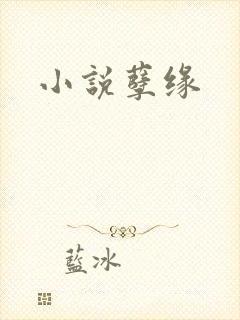 小说孽缘