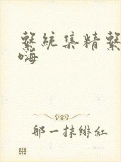 系统集精系统高嗨