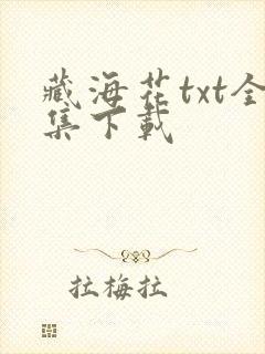 藏海花txt全集下载