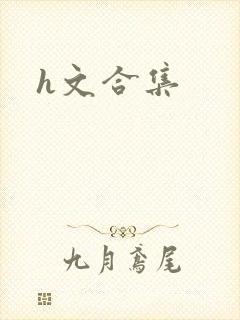 h文合集