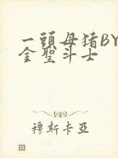 一头母猪BY黄金圣斗士