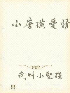 小唐璜爱情历史