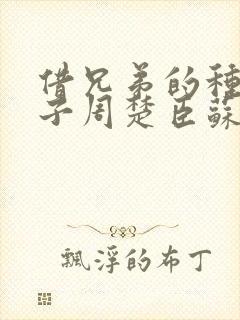 借兄弟的种生孩子周楚臣苏糖