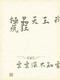 极品天王 我本疯狂