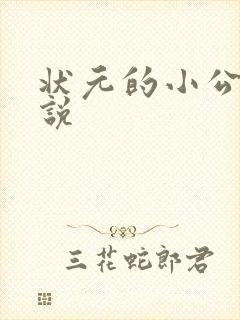 状元的小公主小说