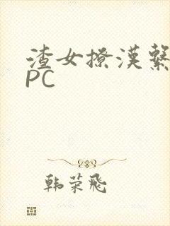 渣女撩汉系统NPC