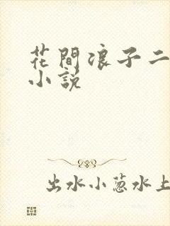 花间浪子二十部小说