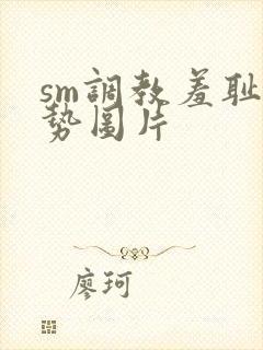 sm调教羞耻姿势图片