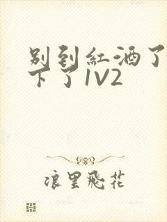 别到红酒了装不下了1V2