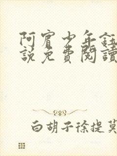 阿宾少年钰慧小说免费阅读笔趣阁