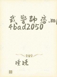 武警帅痞.mp4bad2050