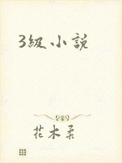 3级小说