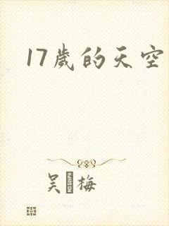 17岁的天空