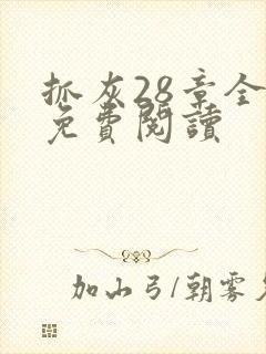 抓灰28章全部免费阅读