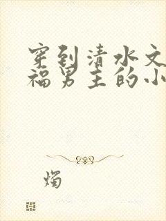 穿到清水文里造福男主的小说