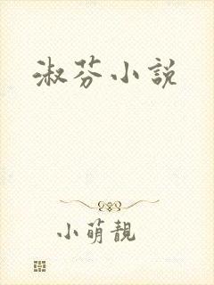 淑芬小说