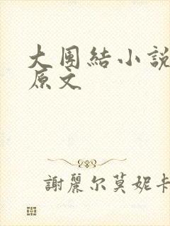 大团结小说阅读原文