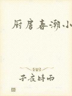 厨房春潮小说