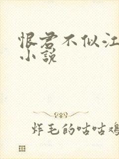 恨君不似江楼月小说