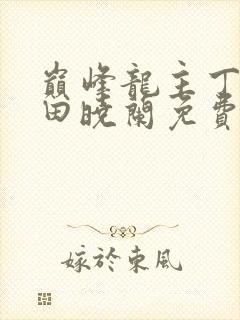 巅峰龙主丁长顺田晓兰免费阅读