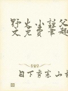 野火小说父女全文免费笔趣阁