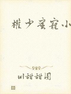 权少蜜宠小娇妻