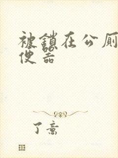 被锁在公厕当坐便器