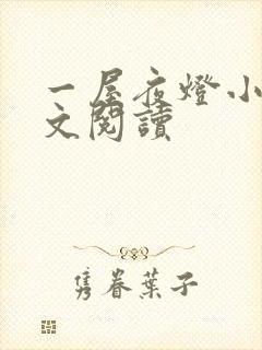 一屋夜灯小说全文阅读