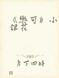 《乐可》小说金银花