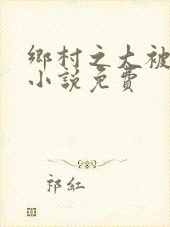 乡村之大被同眠小说免费