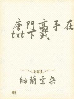 唐门高手在异世txt下载