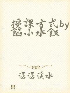 授课方式by肉馅小水饺