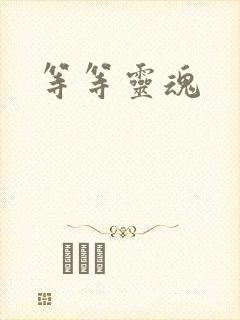 等等灵魂