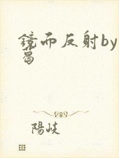 镜面反射by九葛