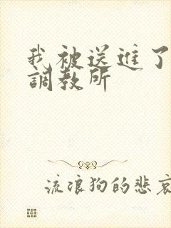 我被送进了私奴调教所