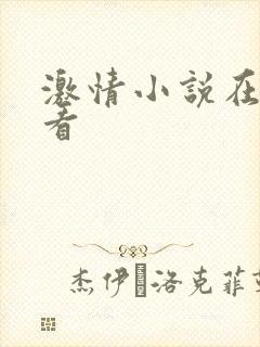 激情小说在线观看