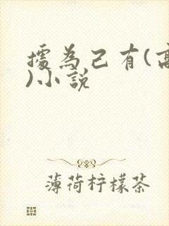 据为己有(高干)小说