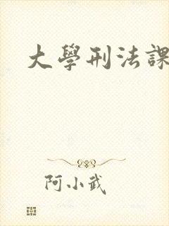 大学刑法课