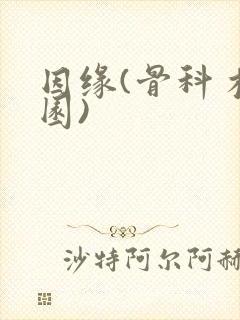 因缘(骨科 校园)